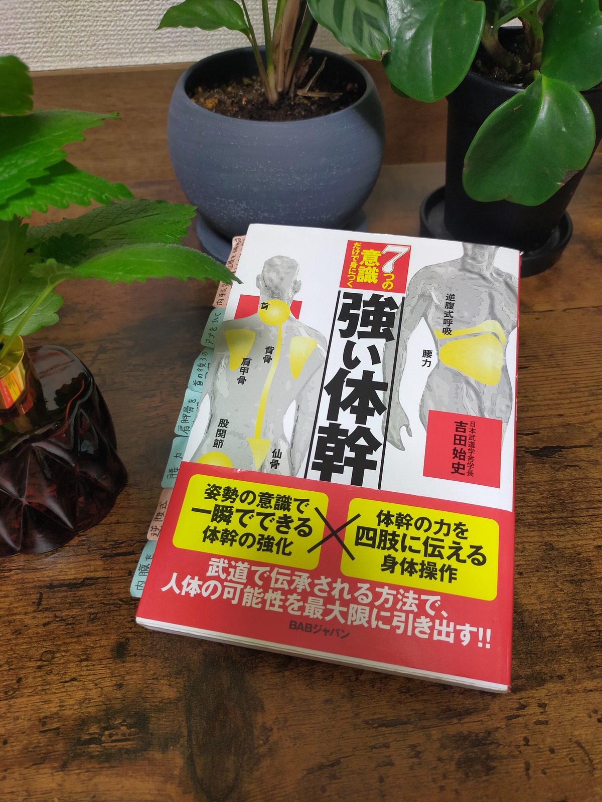 『7つの意識だけで身に付く 強い体幹』の表紙画像