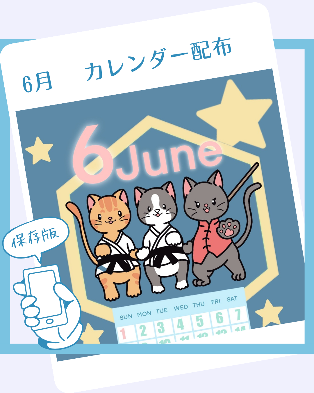 詠春拳と空手を練習する三匹の猫キャラクターが描かれた2025年6月のオリジナルカレンダーイラスト