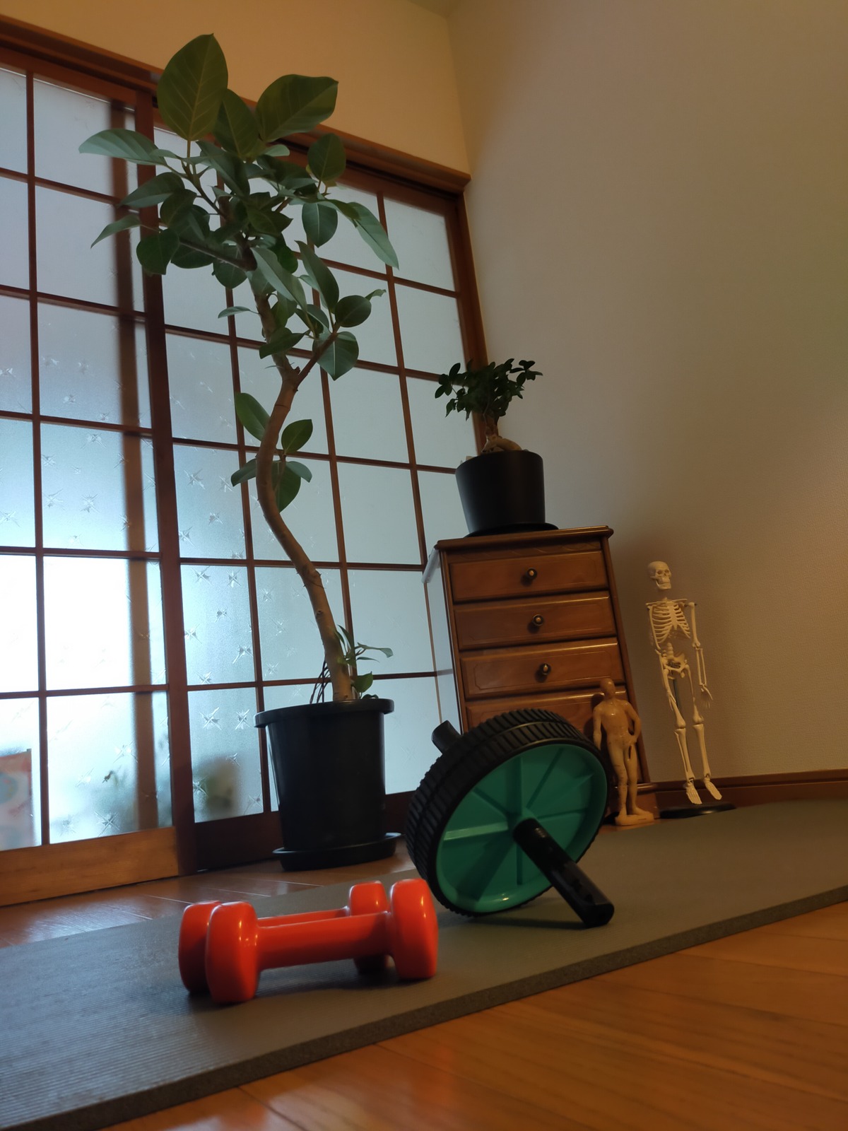 筋トレ用に整えられた自宅トレーニングルームの風景
