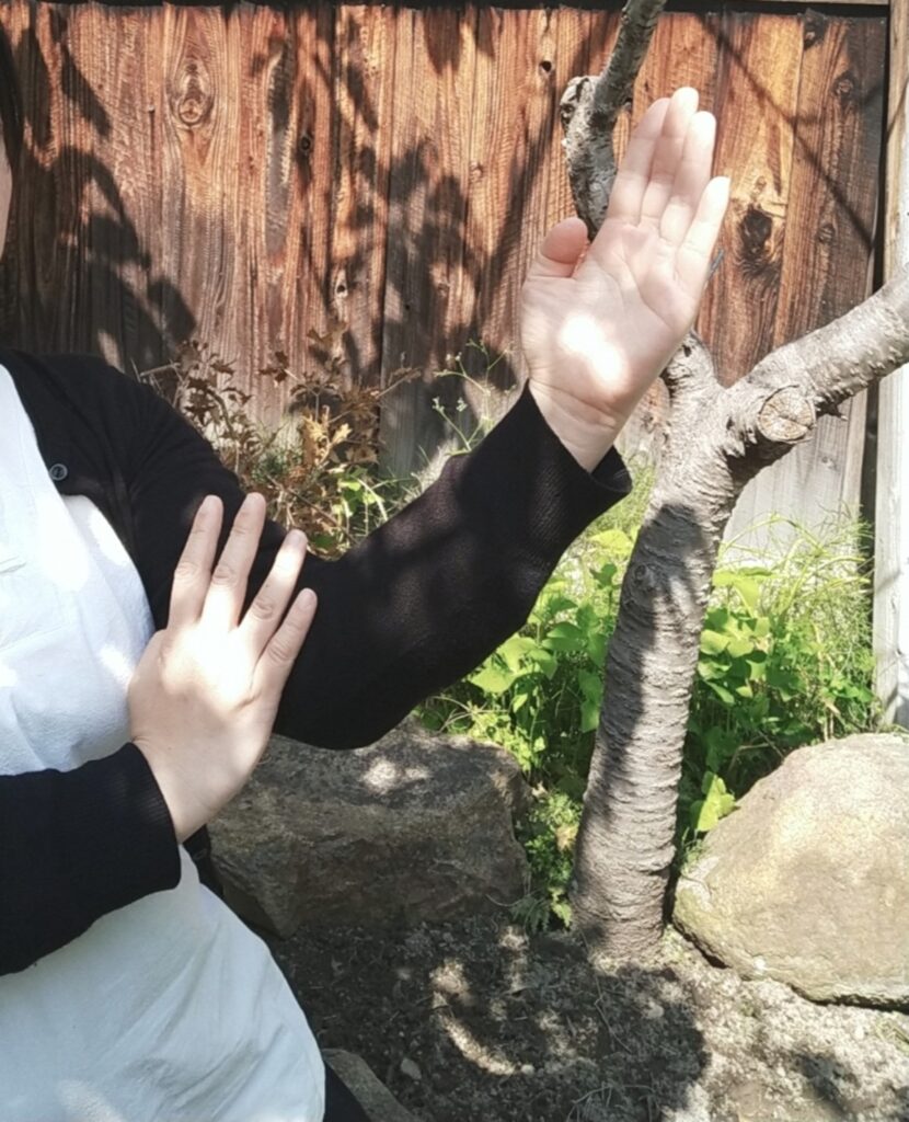 庭で詠春拳の構えをする手元のアップ。自然の中で型を通すひととき。