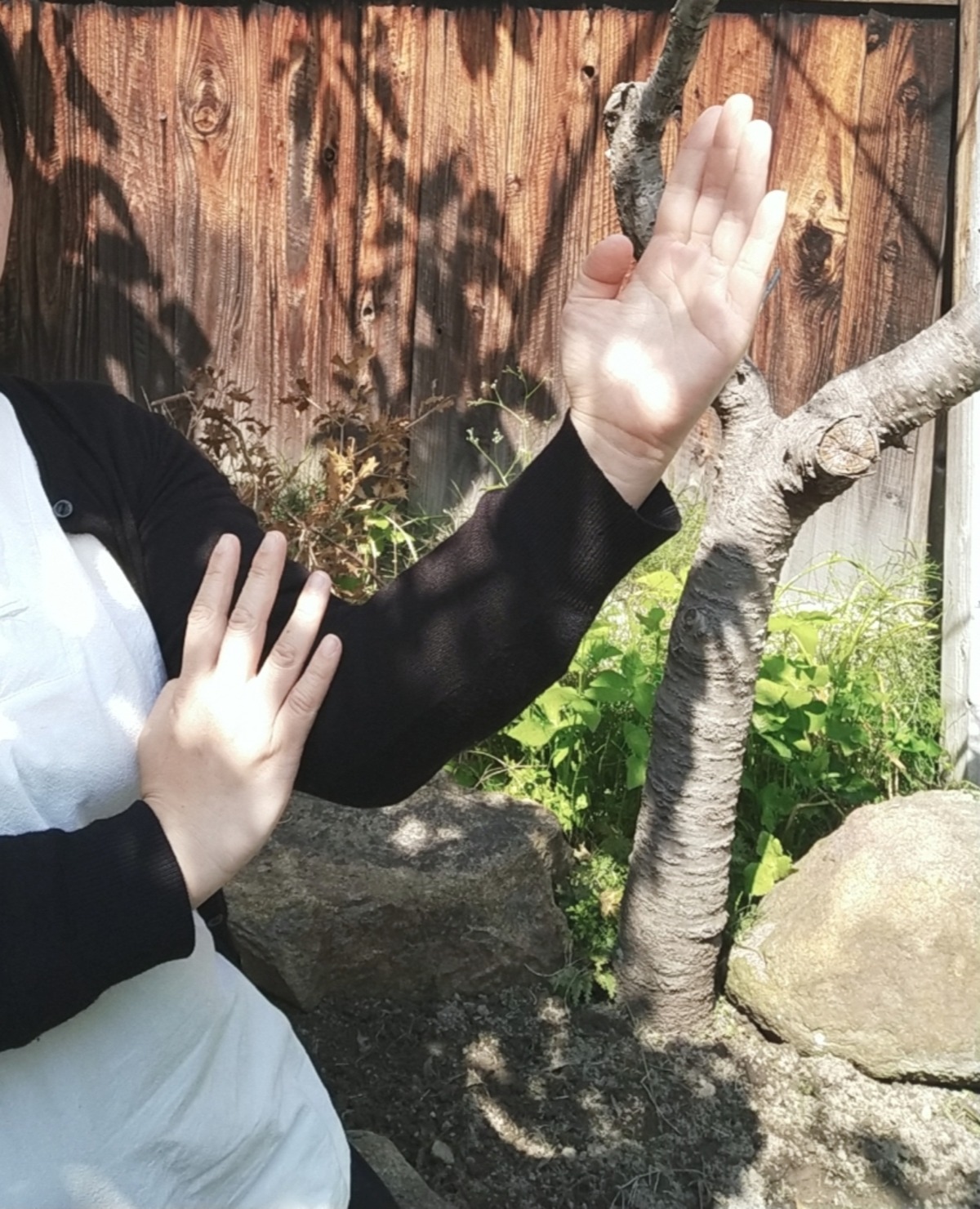 庭で詠春拳の構えをする手元のアップ。自然の中で型を通すひととき。