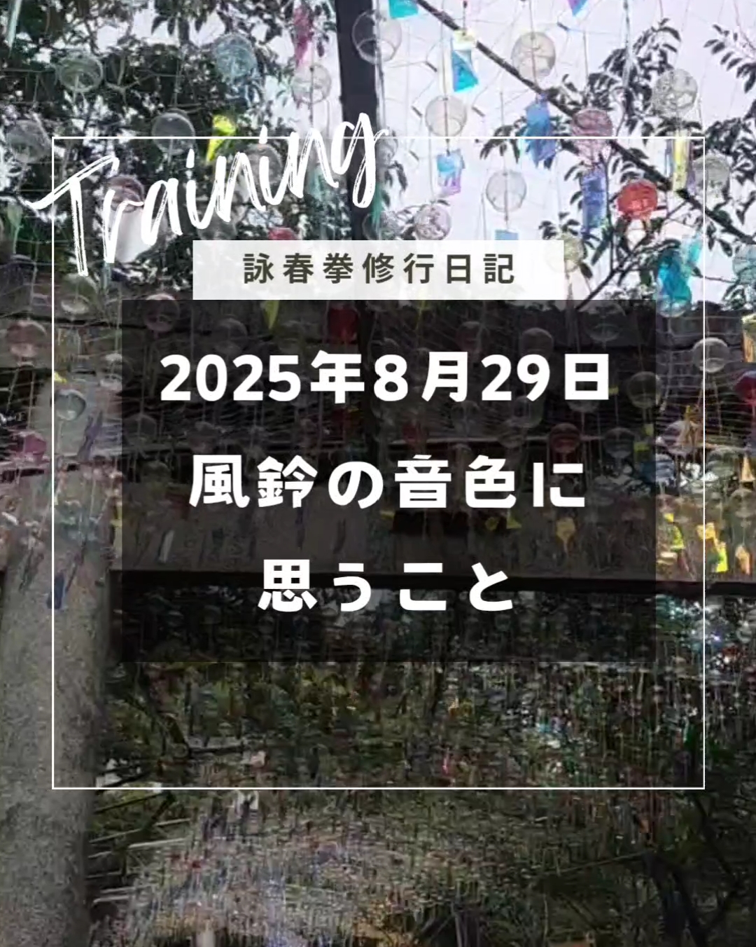 たくさんの風鈴が吊り下げられた宮地嶽神社の様子